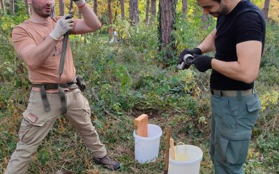 Каменички парк, Нови Сад