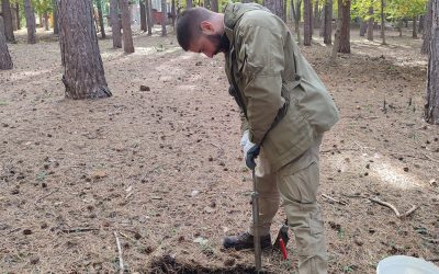 Парк шума Борићи, Сокобања